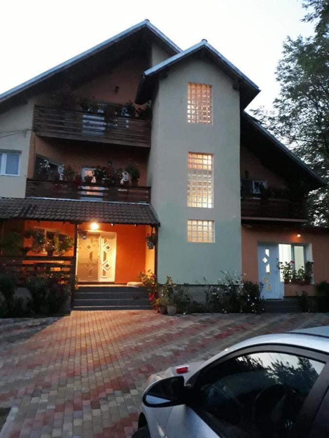 Valea Iasului Pensiunea Valea Badilii المظهر الخارجي الصورة